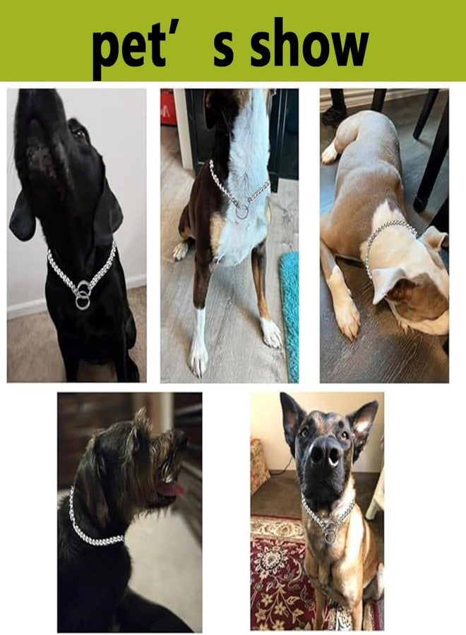 cyhaen Dog Choker Collar for Large Dogs,Adjustable Flat Silver Metal Dog Collar,Heavy Duty Slip P Link Martingale Collar for Small Medium Large Big Dogs XL - Image 4