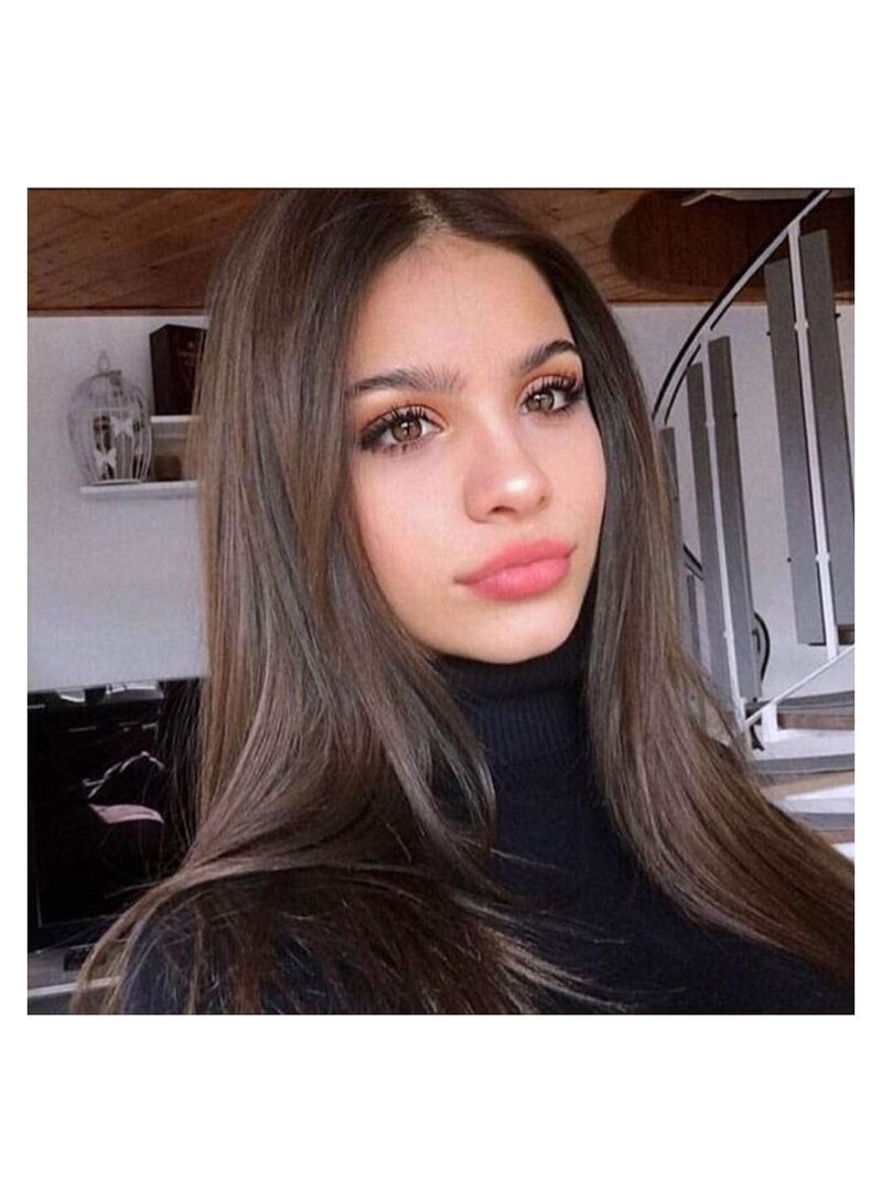 Estelle Chestnut 6 Brown Long Straight Lace Front Wigs Hair Glueless Natural Heat Resistant Synthetic Hair for Women 100% Stylish Wigs - Image 4