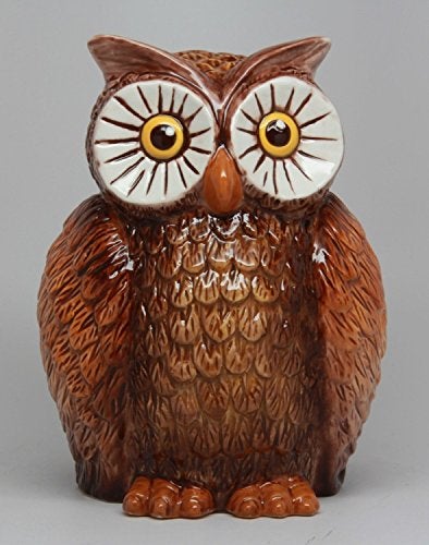Pacific Giftware PTC 6 Inch Owl Bird Savings Piggy/Coin/Money Bank, Brown and White - Image 2