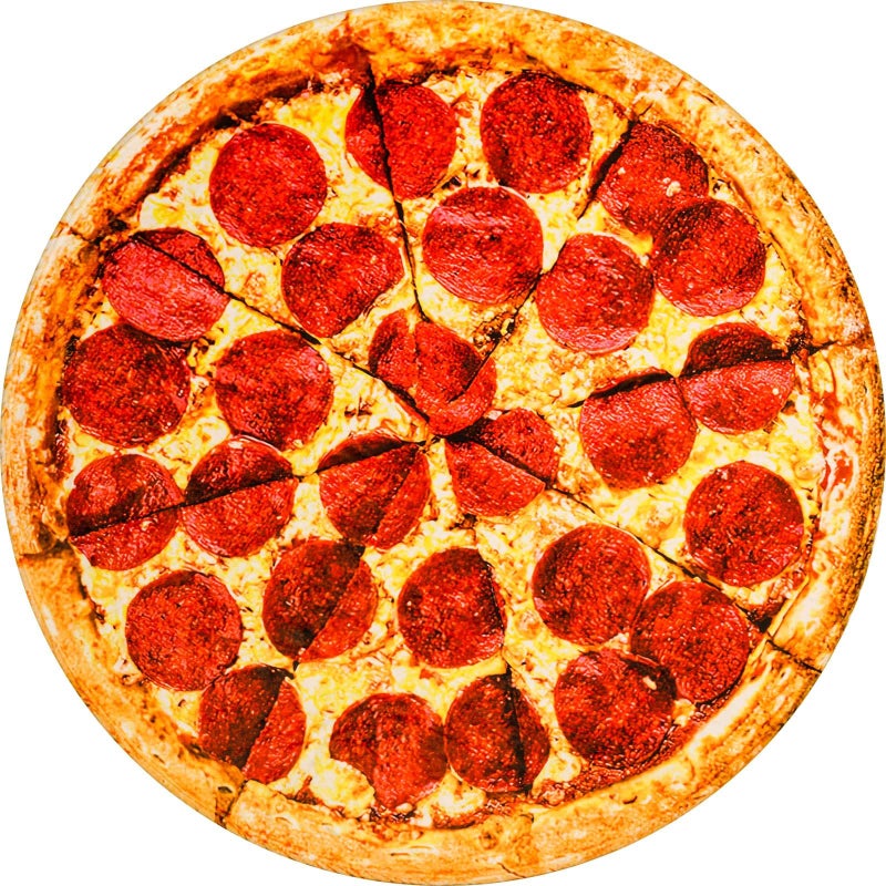 Vessia Pizza Printed Throw Blanket Realistic Funny Round Food Blanket for Adults and Kids 300GSM Novelty Pepperoni Pizza Throw for Couch Sofa Bed Fun Home Decor for All Seasons60 inches
