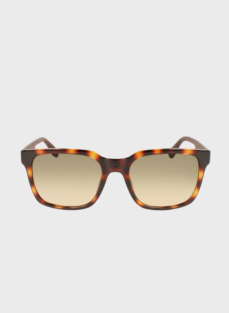 LACOSTE L967S-230 Wayfarers Sunglasses