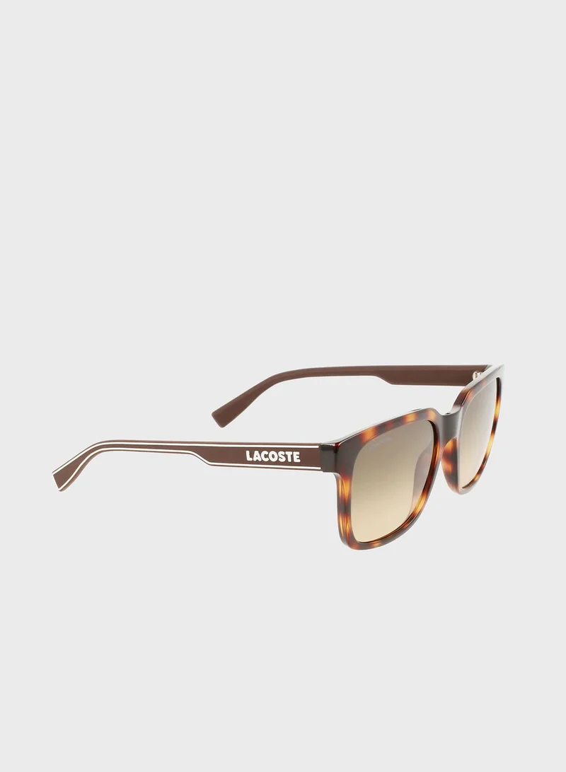 LACOSTE L967S-230 Wayfarers Sunglasses