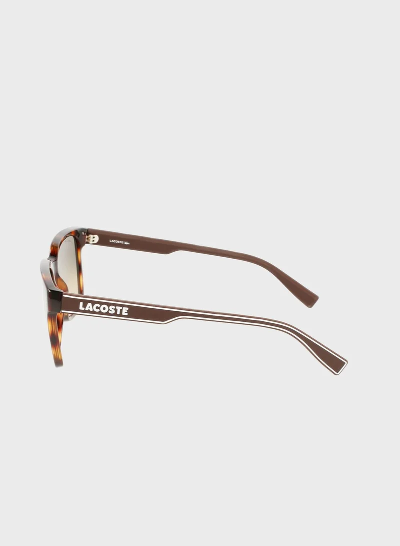 LACOSTE L967S-230 Wayfarers Sunglasses