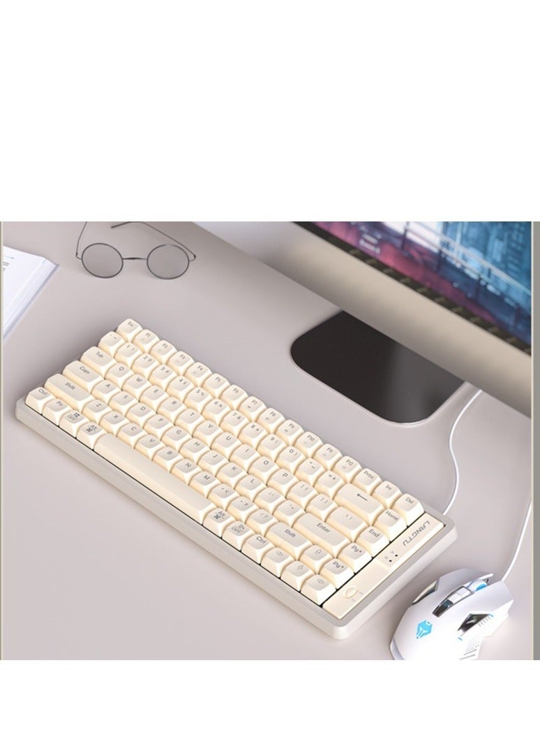 GULFLINK GK85 Wired Mechanical Keyboard Noise Absorbing Hostway Linear Switch Keyboard RGB Backlights Gaming Keyboard White - Image 1