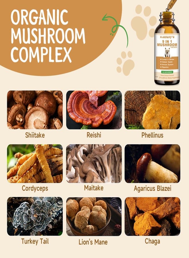 SANTKOL 9 in 1 Mushroom Supplement for Dogs - Turkey Tail Mushroom for Dogs - Dog Lumps and Bumps Treatment - Digestive, Cellular, Immune Health Support - Reishi, Lions Mane, Shiitake - Roast Chicken Flavor - Image 4