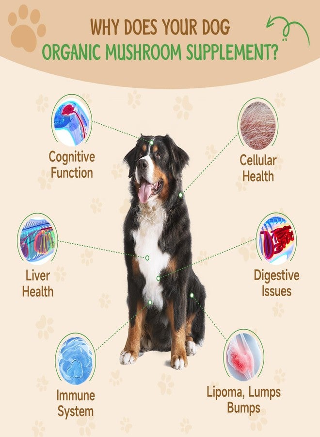 SANTKOL 9 in 1 Mushroom Supplement for Dogs - Turkey Tail Mushroom for Dogs - Dog Lumps and Bumps Treatment - Digestive, Cellular, Immune Health Support - Reishi, Lions Mane, Shiitake - Roast Chicken Flavor - Image 3