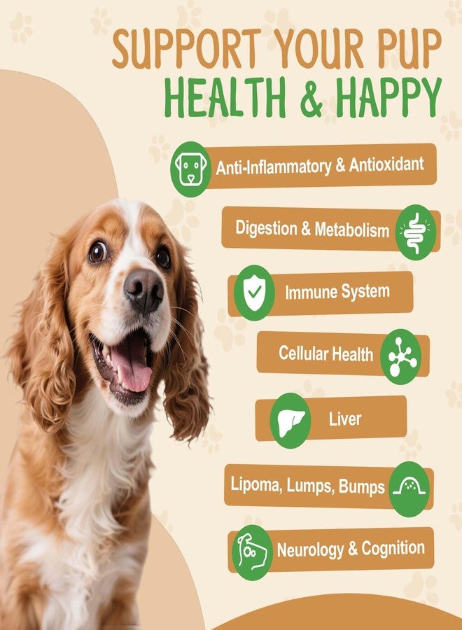 SANTKOL 9 in 1 Mushroom Supplement for Dogs - Turkey Tail Mushroom for Dogs - Dog Lumps and Bumps Treatment - Digestive, Cellular, Immune Health Support - Reishi, Lions Mane, Shiitake - Roast Chicken Flavor - Image 5