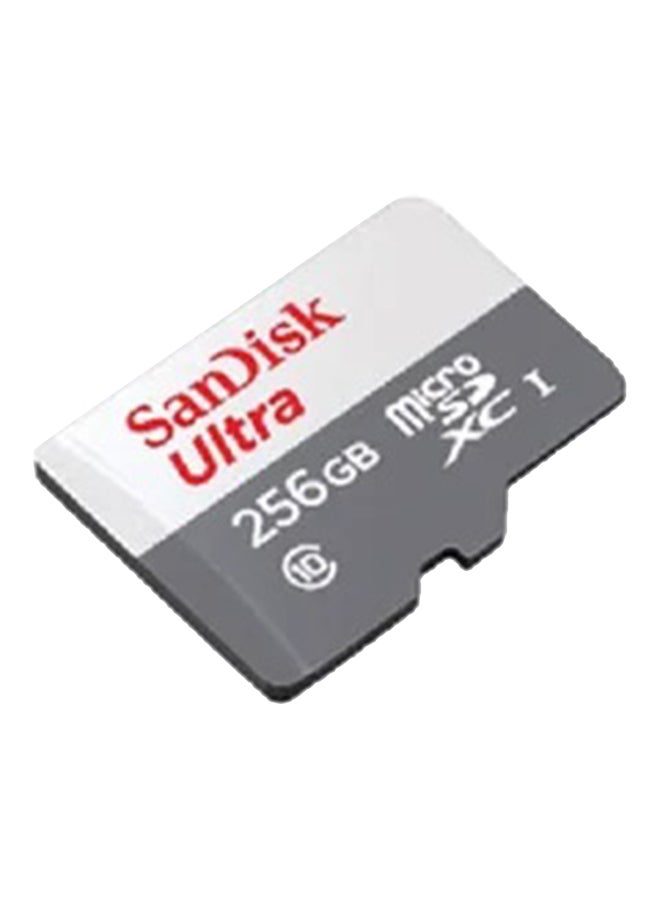 sandisk 256GB Ultra Microsdxc UHS 1, Read Speed- 100Mb/S,Class 10 rating, Grey,-Sdsqunr-256G-Gn3Mn