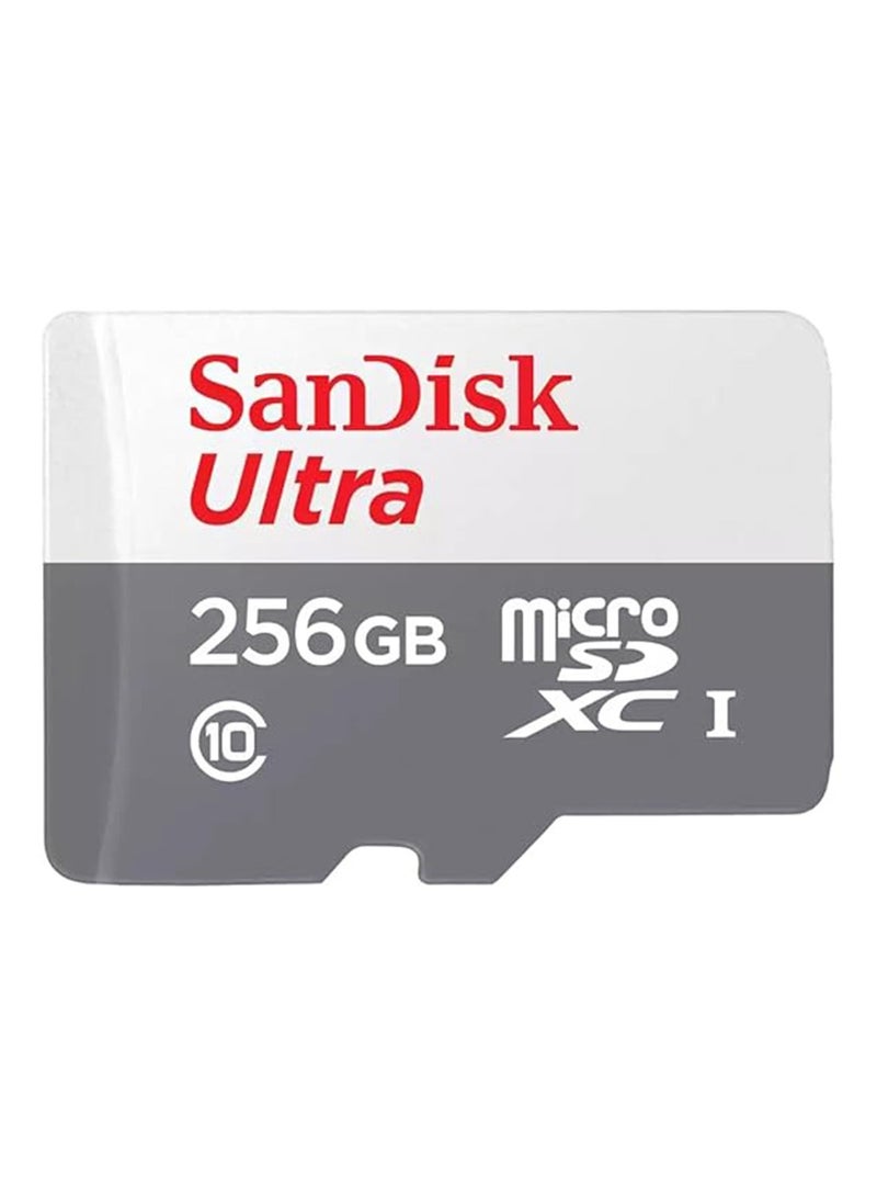 سانديسك بطاقة Ultra Microsdxc Uhs 1 سعة 256 جيجابايت بسرعة 100 ميجابايت/ثانية رمادية -Sdsqunr-256G-Gn3Mn، رمادية 256 جيجابايت 256 GB - Image 1