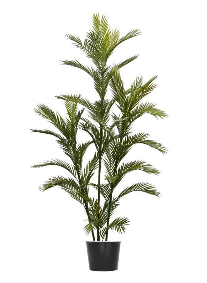 Unique Pots And Plants Cahmedorea Artificial Tree H220CM  - Image 1