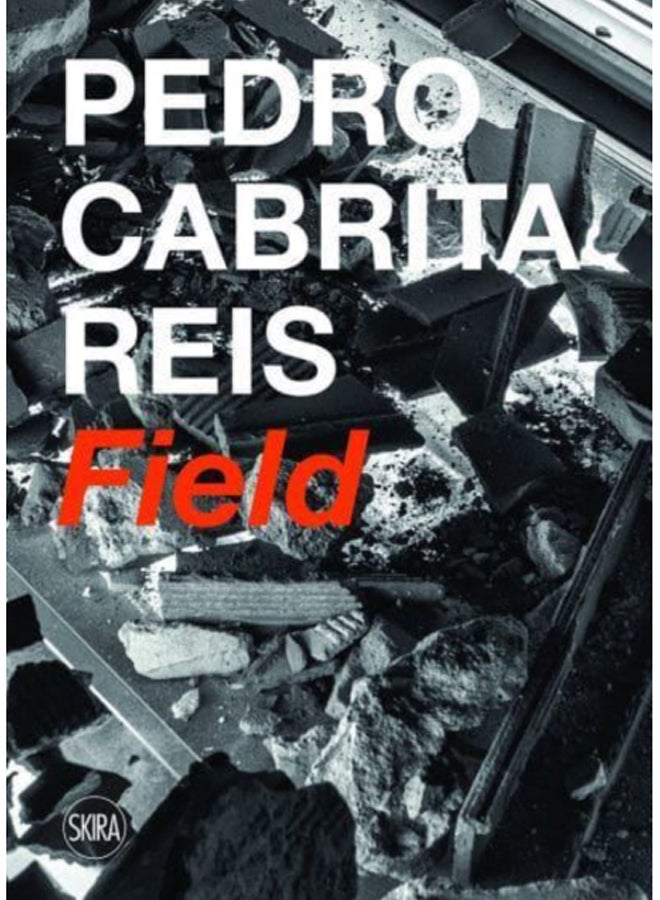 Pedro Cabrita Reis : Field 