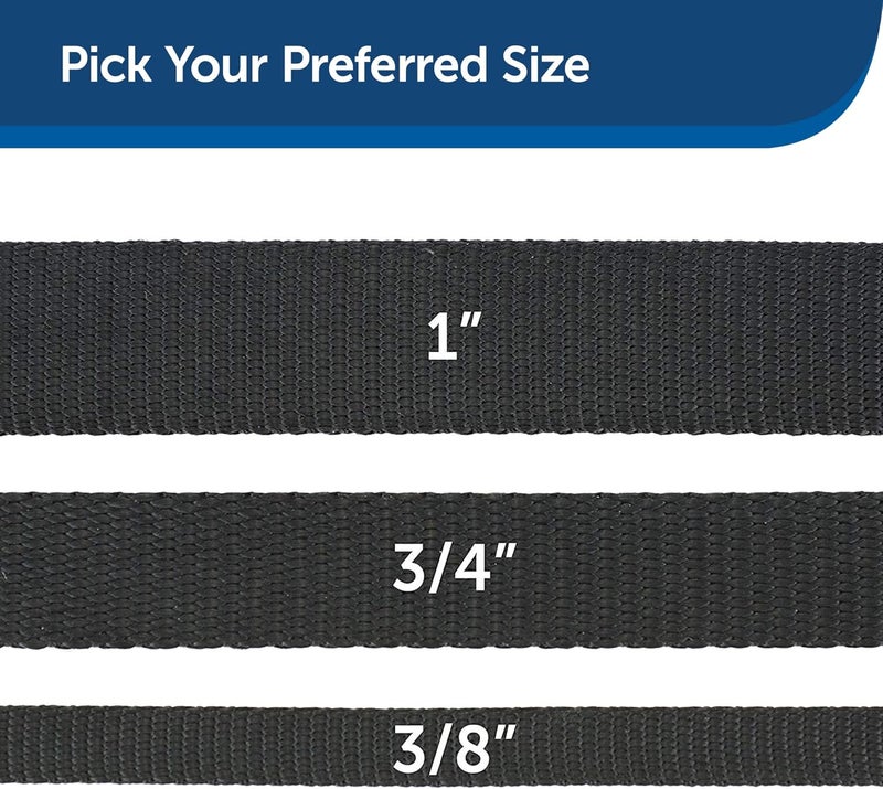 PetSafe Nylon Dog Leash - Durable and Strong Leash for Small, Medium, and Large Dogs - 3/4" x 6', Black - Image 5