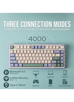 AULA AULA F75 Wireless Mechanical Gaming Keyboard – 75% Compact Gasket Mount – Tri-Mode Bluetooth 5.0/2.4G/USB-C – Hot-Swappable LEOBOG Reaper Switches – RGB Backlit – Long Battery Life – Ultra-Fast Response for PC/Mac – (Green)  - Image 4