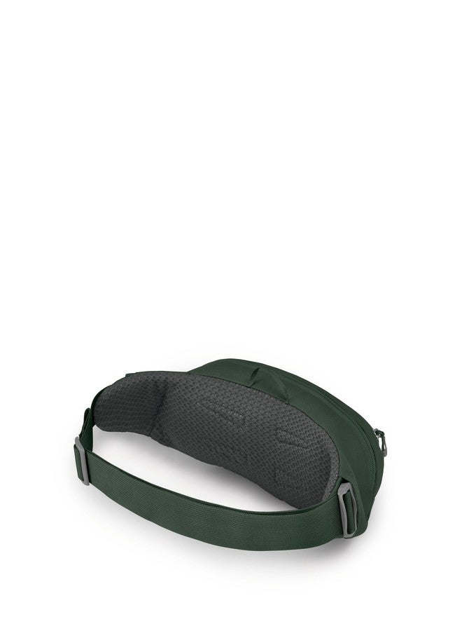 Osprey Daylite Waist Pack Unisex Lifestyle Green Belt/Green Canopy O/S - Image 5