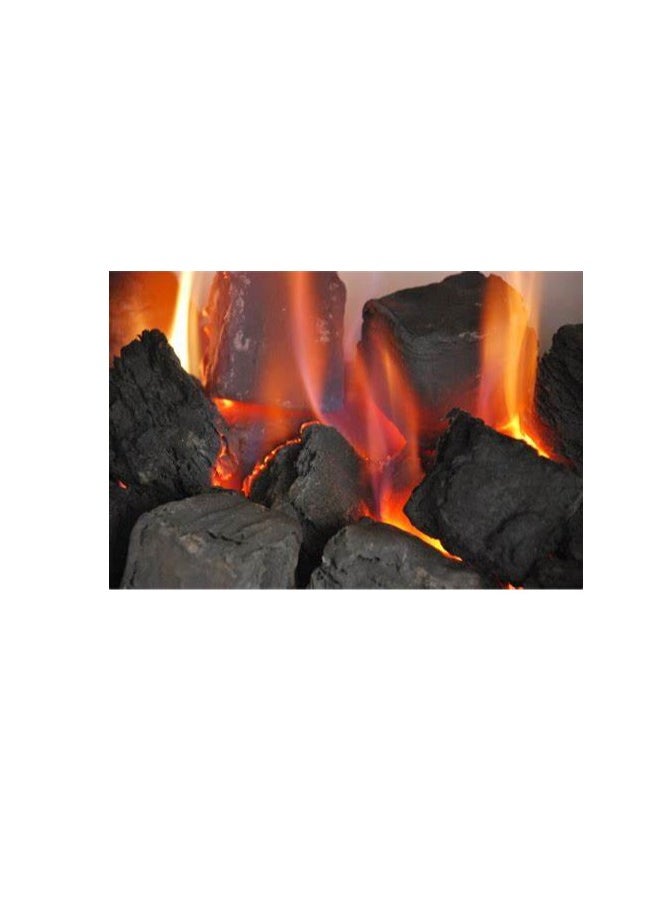 Generic Special BBQ Charcoal12kg Bag - 100 % Natural Wood charcoal - Best for BBQ & Grilling  - Image 3