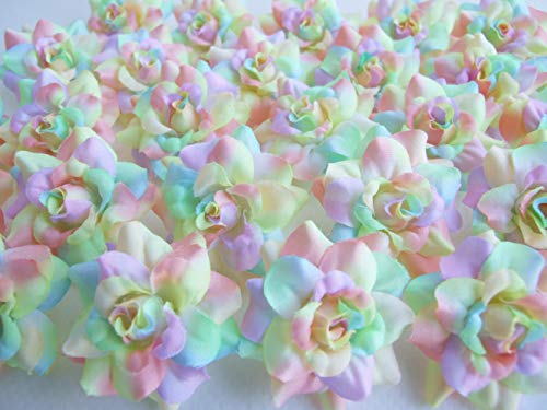 ICRAFY (24) Silk Rainbow Pastel Tones Roses Flower Head - 1.75" - Artificial Flowers Heads Fabric Floral Supplies Wholesale Lot for Wedding Flowers Accessories Make Bridal Hair Clips Headbands Dress - Image 1