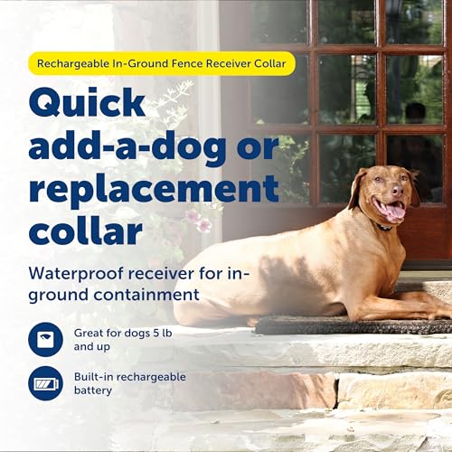 PetSafe Rechargeable In-Ground Pet Fence Receiver Collar for Cats and Dogs, Waterproof with Tone and Static Correction, Fits Pets 5 lbs and Up from The Parent Company of The Invisible Fence Brand - Image 2