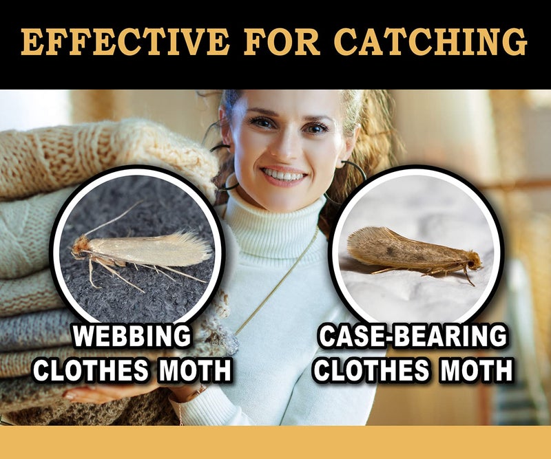 MaxGuard Clothes Moth Traps (12+2 Free Traps) Extra Strength Pheromones | Non-Toxic Sticky Glue Trap for Closets and Carpet Moths | No Mothballs | Lure, Trap and Kill Case-Bearing Webbing Moths | - Image 2