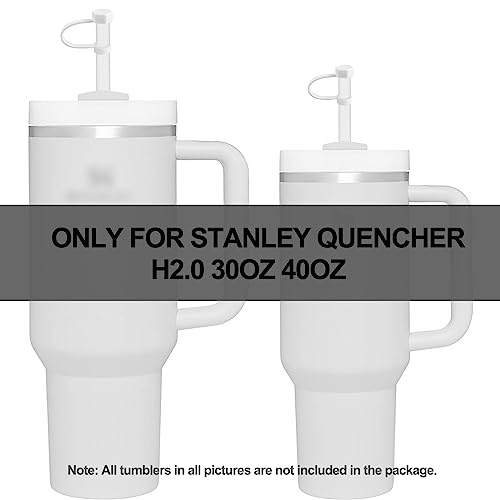DUNLAGUE Silicone Spill Stopper Set Compatible with Stanley Cup 2.0 30oz & 40oz with Straw Cover (Set of 2, Clear) - Image 3