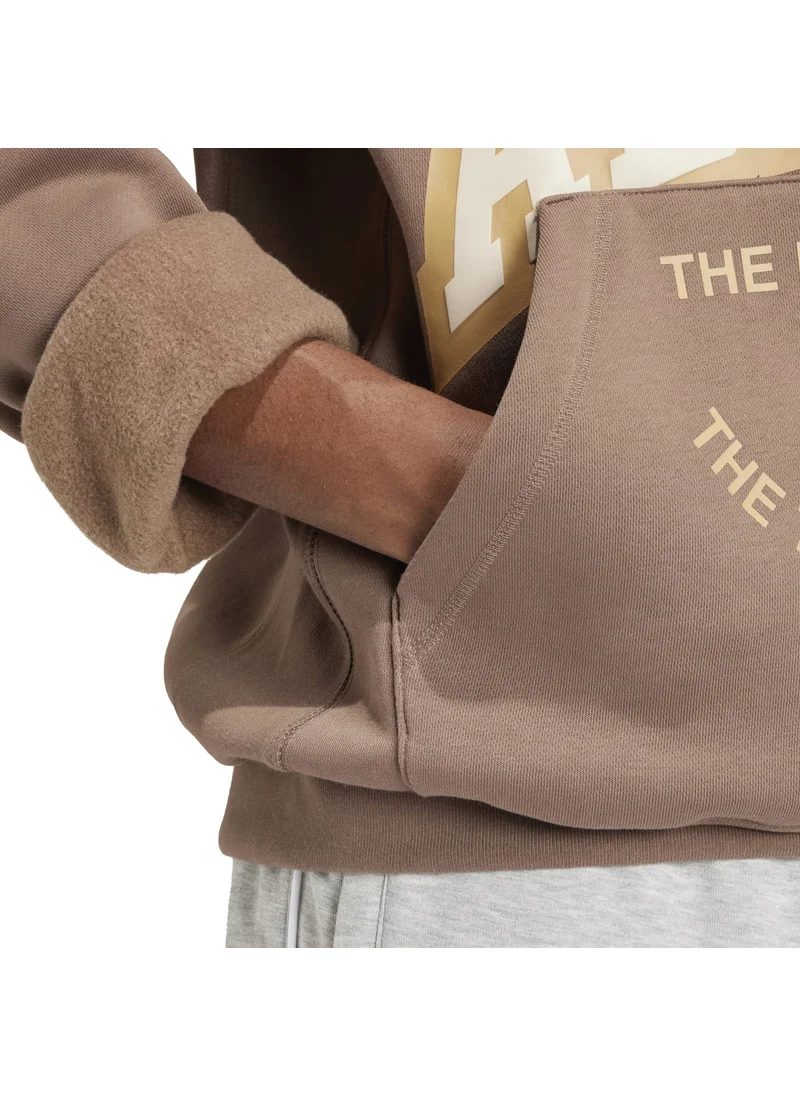 Adidas adidas VRCT HOODIE Brown Originals Men SWEATSHIRTS