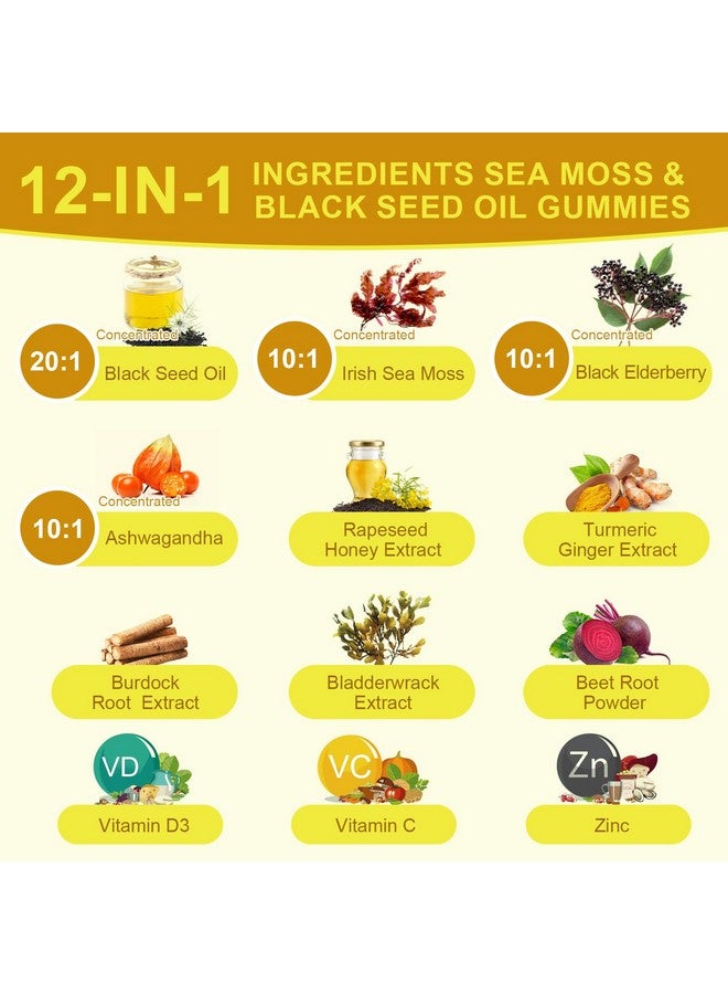 B BEWORTHS ب بيوورثز زيت الحبة السوداء وجيلي الطحالب البحرية، جيلي الطحالب البحرية الأيرلندية العضوية مع الأشواغاندا، زيت الحبة السوداء، البلسان، الكركم، فيتامين د3/ج و الزنك - دعم المفاصل، الهضم، الشعر والبشرة - Image 3