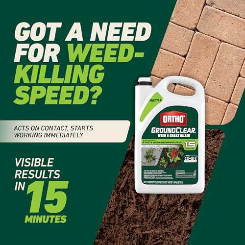 Ortho أورثو جراوند كلير لإعادة تعبئة قاتل الأعشاب والنجيل، يقضي على الهندباء، والأعشاب الضارة، وعشب البحر، والطحلب والمزيد في الفناءات والمناظر الطبيعية، مدرج في OMRI، 1 جالون. - Image 4