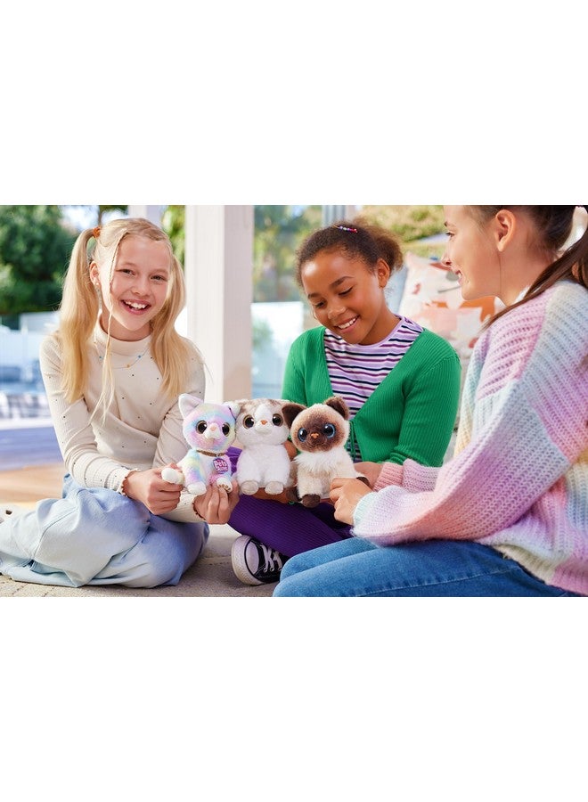 Pets Alive Smitten Kittens Surprise (British Shorthair Cat Sissy) by ZURU Nurture Play Soft Toy Unboxing Adopt Interactive 10 Sounds - Image 5