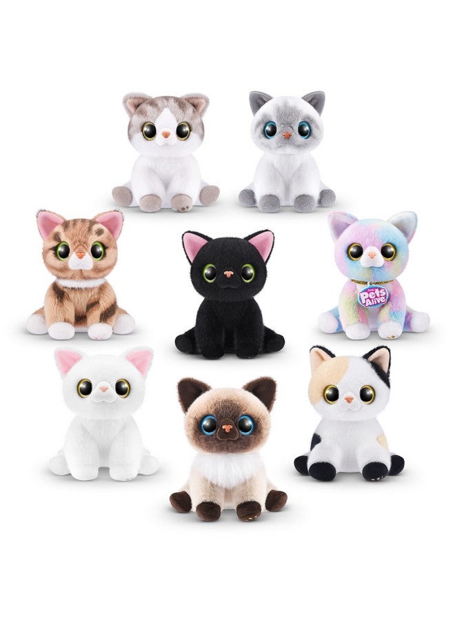 Pets Alive Smitten Kittens Surprise (British Shorthair Cat Sissy) by ZURU Nurture Play Soft Toy Unboxing Adopt Interactive 10 Sounds - Image 4