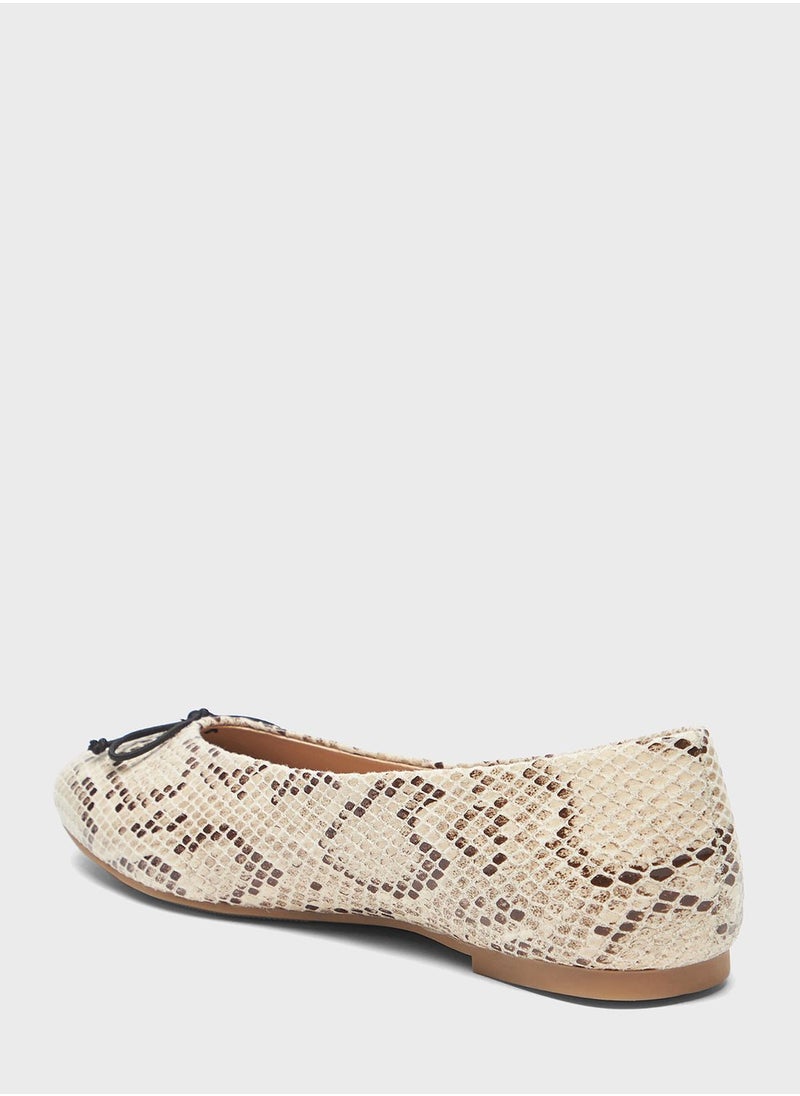 Celeste - Pointed Toe Ballerinas - Image 1
