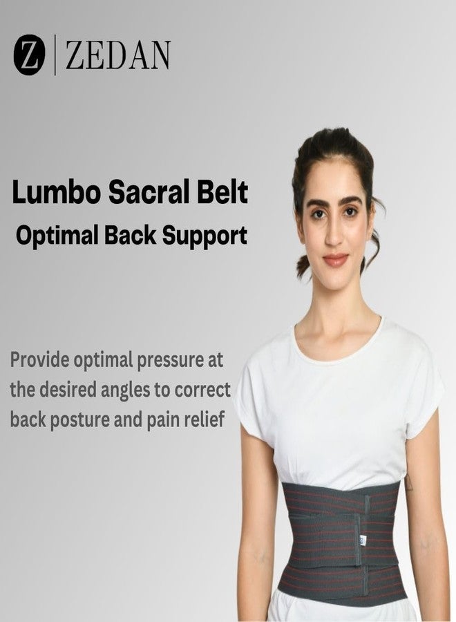 ZEDAN Lumbo Sacral Belt With Double Strapping, Back Support For the Lumbar Spine, Pain Relief, Back Brace for Men and Women, Grey (M) - Image 3