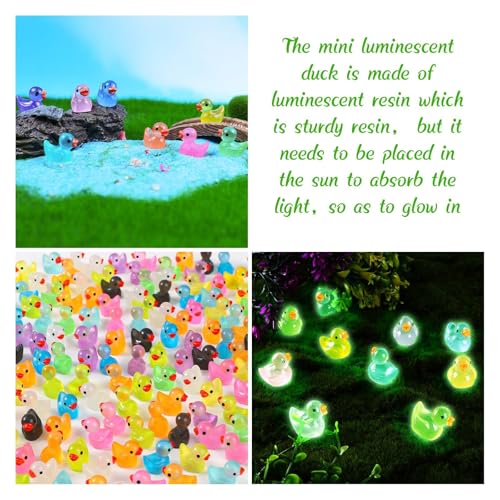 BharatBazaar 50 Pcs Miniature Toys, Garden Decoration Items Outdoor, Small Resin Animals Variety Pack Luminous Miniature Farm Ocean Figures Tiny Resin Duck to Hide Garden Aquarium Dollhouse Office Home Decor - Image 5