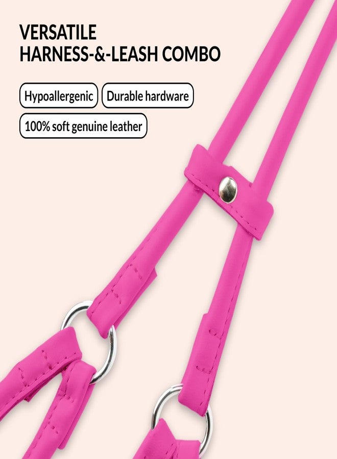 CollarDirect Rolled Leather Dog Harness Small Puppy Step-in Leash Lead Set for Walking 10 Colors (Pink, XS) - Image 2