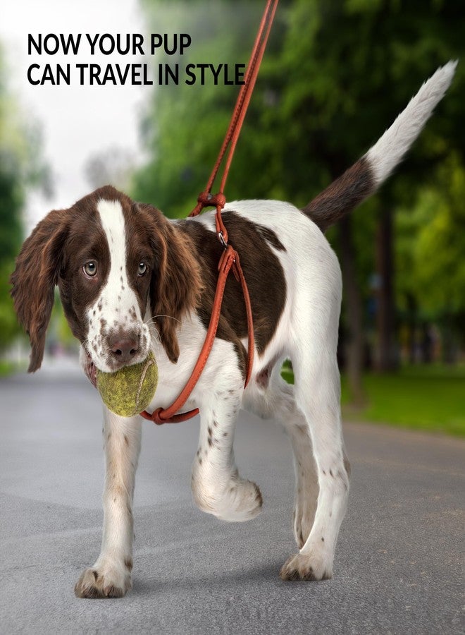 CollarDirect Rolled Leather Dog Harness Small Puppy Step-in Leash Lead Set for Walking 10 Colors (Pink, XS) - Image 4