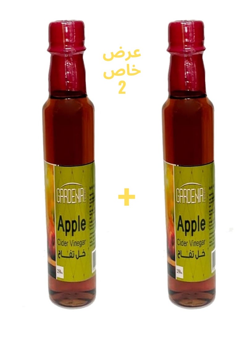 Gardenia Apple Cider Vinegar With Glass Bottle 250 ml - Pack of 2  - Image 1