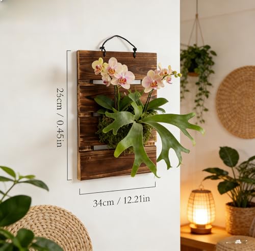 Dranvosk Staghorn Fern Mounting Board Kit Wooden Wall Planter Hanging Plant Holder for Vertical PlantPlatycerium OrchidsSucculentsRectangular - Image 3