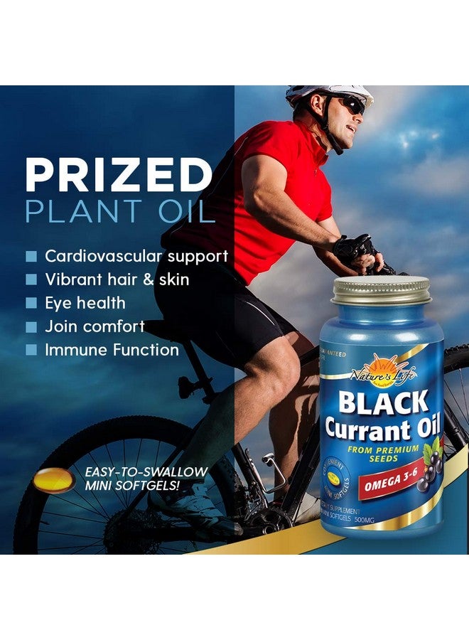 Nature's Life Black Currant Oil Minis 500 mg | with Omega 3-6 for Skin, Hair, Heart and Joint Health | 90ct - Image 3