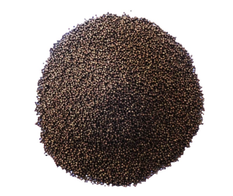 Maalavya Gold Special Aquarium Fish Food Pellet Small 1 MM Fish Feed (Good Fish Food for Aquarium 36 Karat) Fast Growth 500 gm Fish Aquarium Food Fish Pellet Fish Food Feed - Image 4