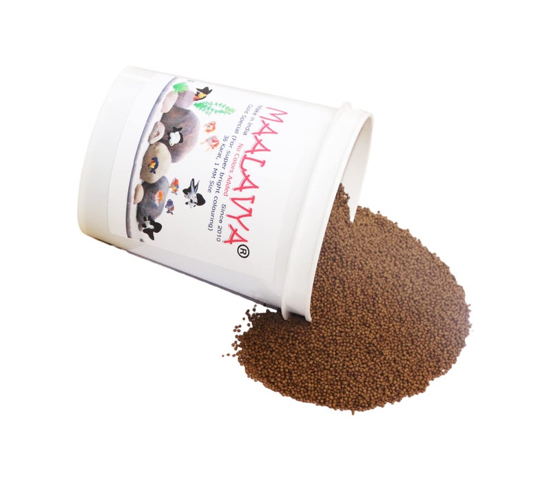 Maalavya Gold Special Aquarium Fish Food Pellet Small 1 MM Fish Feed (Good Fish Food for Aquarium 36 Karat) Fast Growth 500 gm Fish Aquarium Food Fish Pellet Fish Food Feed - Image 3