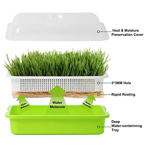 Homend 5 Pack Seed Sprouter Tray With Lid, Seed Germination Tray BPA Free Nursery Tray For Seedling Planting Great For Garden Home Office (5),Green, White - Image 3