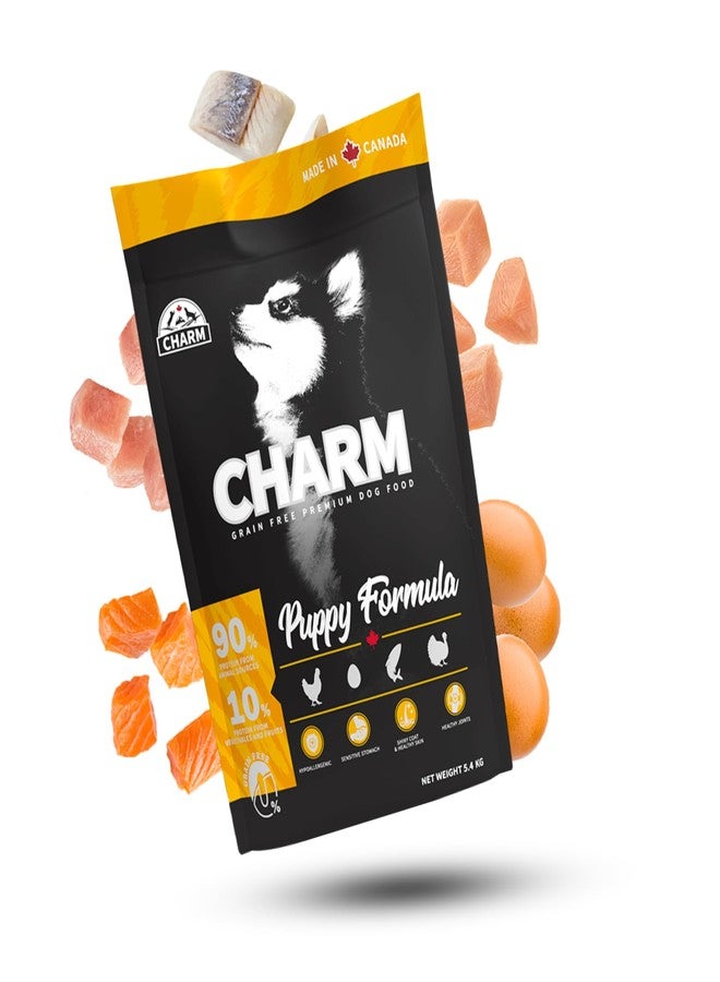 CHARM Puppy Formula Dry Dog Food 340g for Puppies, Made in Canada for All Dog Breeds 2 to 12 Months, Grain Free, Chicken & Turkey, No Artificial Flavours & Preservatives, Pet Nutrition Food - Image 3