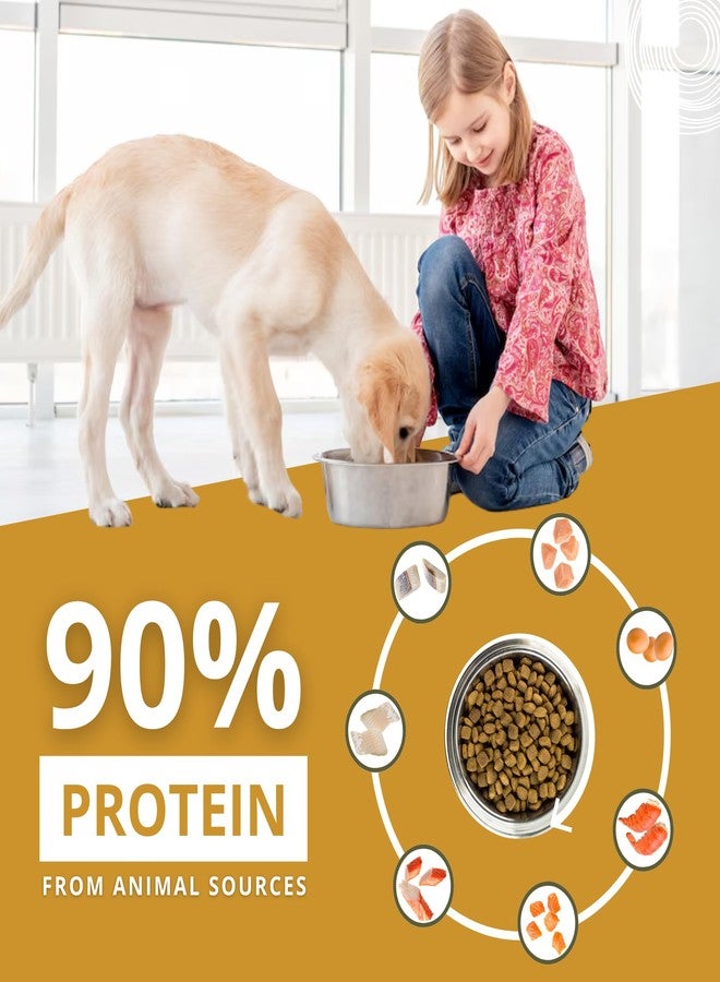CHARM Puppy Formula Dry Dog Food 340g for Puppies, Made in Canada for All Dog Breeds 2 to 12 Months, Grain Free, Chicken & Turkey, No Artificial Flavours & Preservatives, Pet Nutrition Food - Image 4