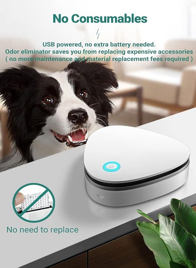 عام مزيل الروائح والغبار، 90% مزيل للروائح و99.9% غبار، مزيل روائح حمامات القطط، مزيل روائح حمامات القطط، مستخدم على نطاق واسع في صناديق القمامة للقطط، الحمامات، الخزانات، المطابخ، ومتاجر الحيوانات. - Image 5