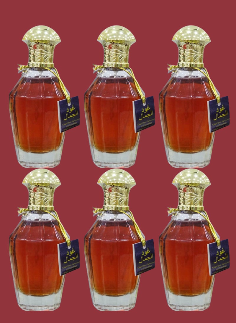 تي أر آي 6 قطع عود الجمال 100 مل EDP - Image 1