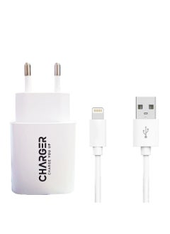 ماركة غير محددة الشاحن السريع للهواتف الذكية ، 2 منفذ USB مع وصلة نوع iphone بطول 1.5 متر و قوة 12 واط ، مخصص للايفون سريع الاداء و عالي الجودة ، شاحن حائط ، يمكن حملة في السفر  - Image 1