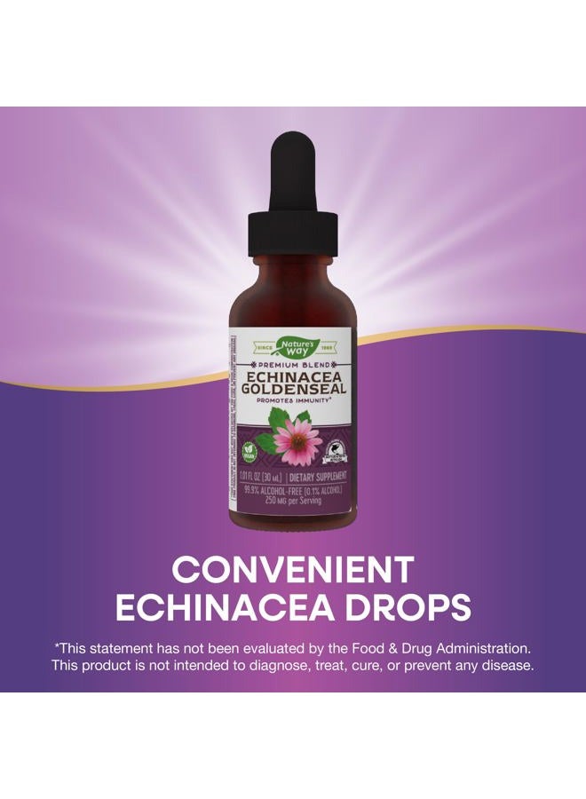 BECCA Premium Formula Echinacea-Goldenseal, 250 mg per serving, 99.9% Alcohol-Free, 1.01 Oz. - Image 3