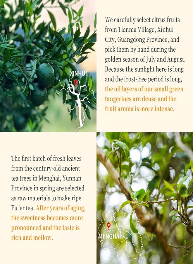 XIXICHA قشر اليوسفي Pu-erh Tea Palace زلابية الشاي Xiaoqinggan البرتقال Puerh Xinhui ChenPi Pu'er الحمضيات Pu erh Xiao Qing Gan Yunnan 普洱茶 陈皮普洱茶 小青柑 广东新会小青柑مشروب غازي 5.64 أونصة - Image 2