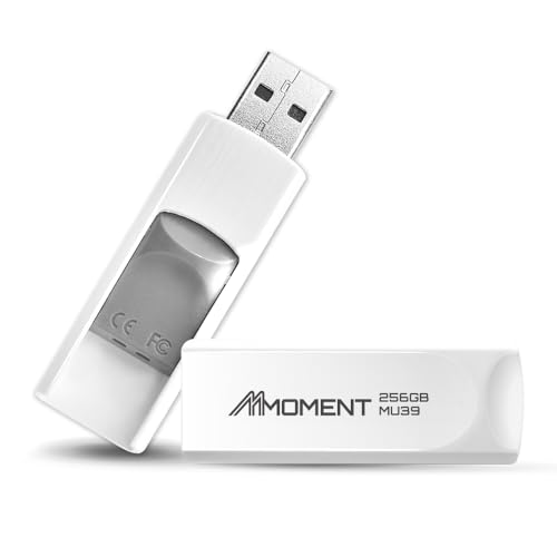 MMOMENT MU39 256GB USB 3.1 Gen1 Flash Drive, Read Speed up to 100MB/s, Retractable Design Thumb Drive - Image 1