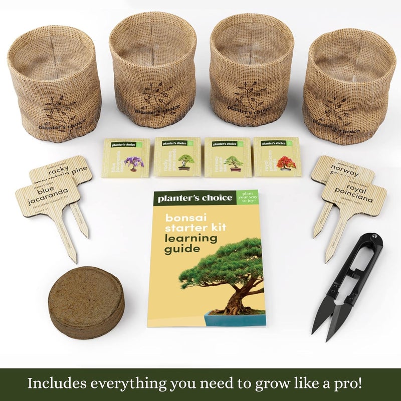 Planters' Choice Bonsai Starter Kit - Gardening Easter Gift for Women & Men - Bonsai Tree Growing Garden Crafts Hobby Kits for Adults, Unique DIY Hobbies for Plant Lovers - Unusual Christmas Gifts Ideas - Image 2