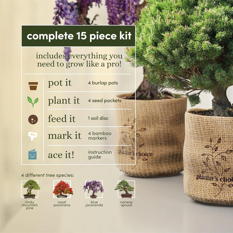 Planters' Choice Bonsai Starter Kit - Gardening Easter Gift for Women & Men - Bonsai Tree Growing Garden Crafts Hobby Kits for Adults, Unique DIY Hobbies for Plant Lovers - Unusual Christmas Gifts Ideas - Image 3