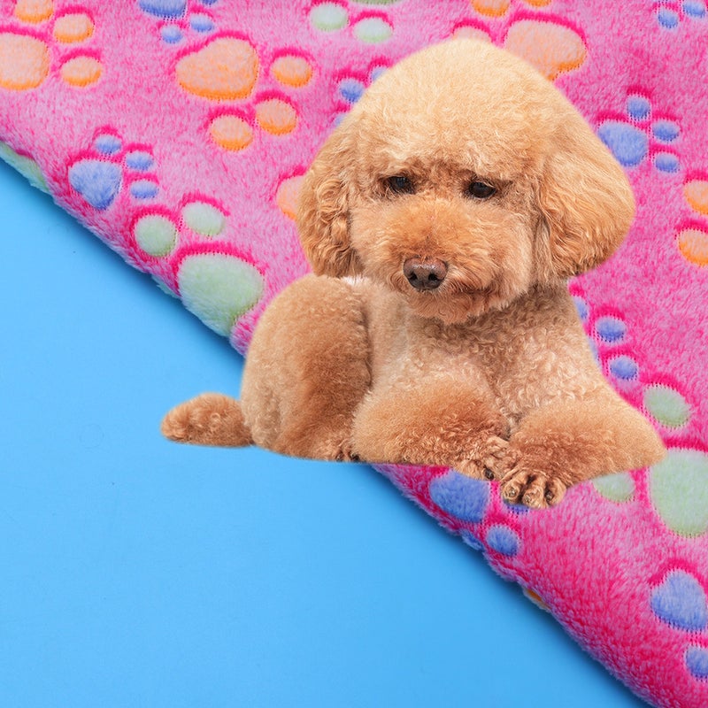 1 Pc Pet Carpet Coral Small Printed Pet Dog Blanket Cushion Sleep Mat (60x40cm, Random Hemming Color) - Image 2